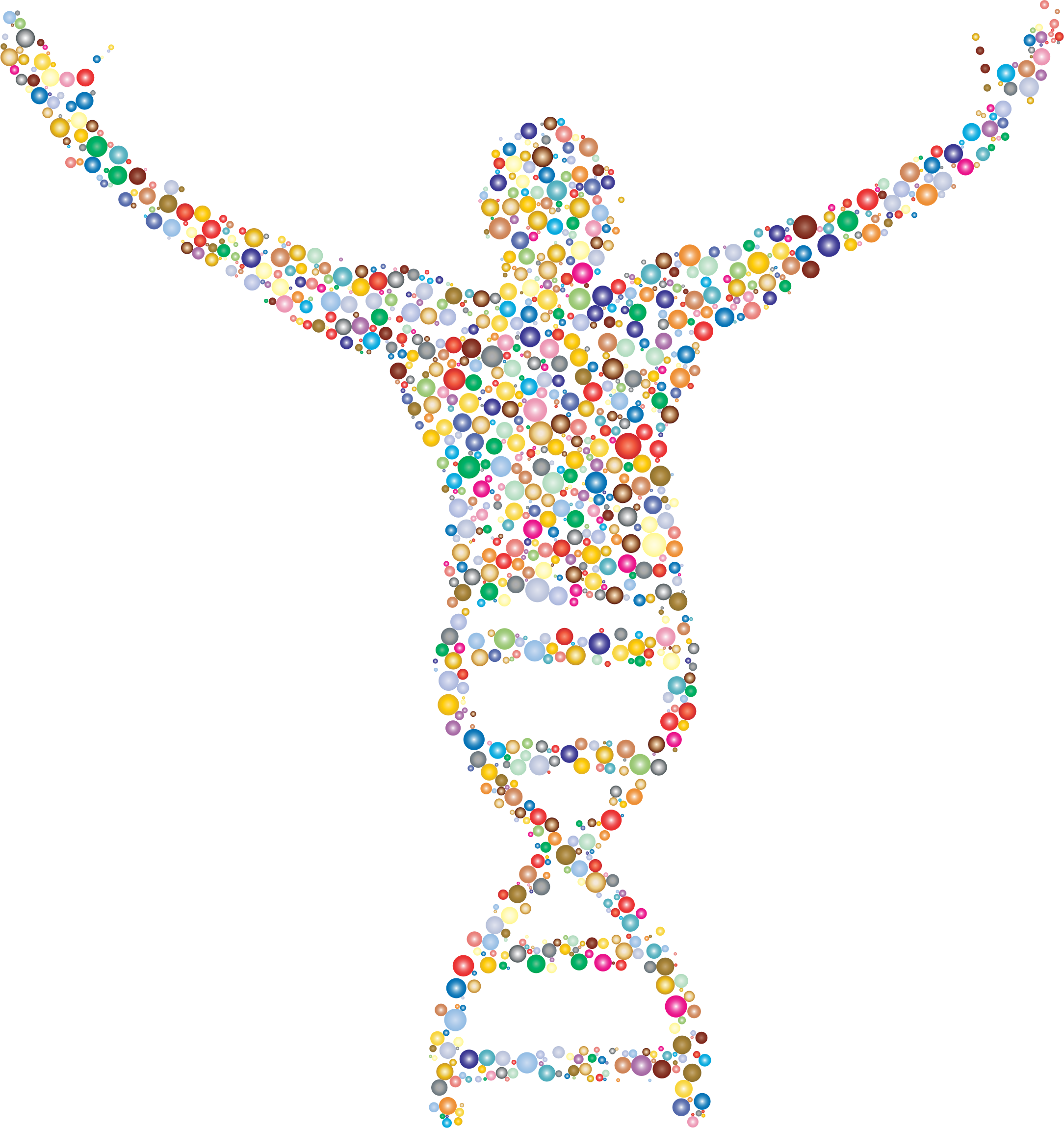 Navigation bar avatar